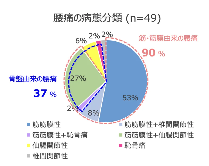 腰痛病態分類