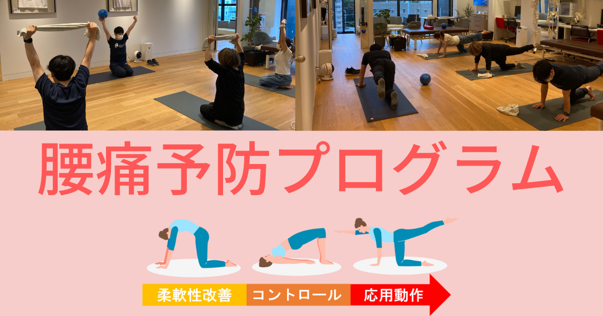 腰痛予防プログラム